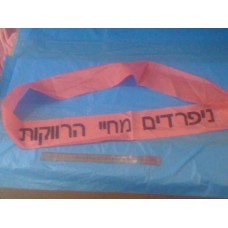 סרט לכלה נפרדים מחיי הרווקות